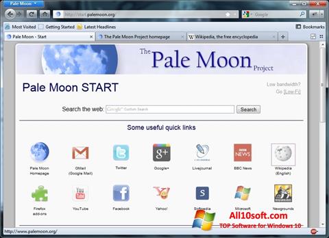 Screenshot Pale Moon para Windows 10