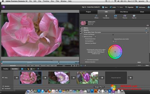 adobe premiere elements 10