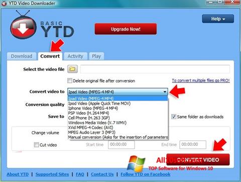 Screenshot YTD Video Downloader para Windows 10