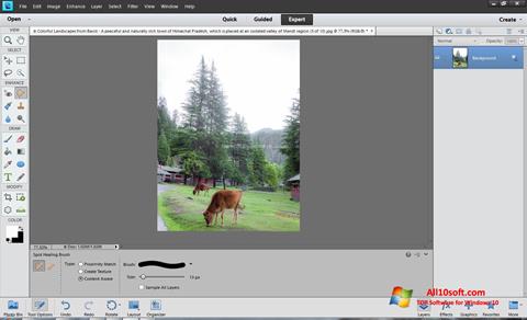 Screenshot Photoshop Elements para Windows 10