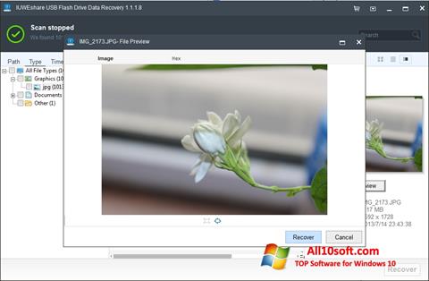 Screenshot USB Flash Drive Recovery para Windows 10