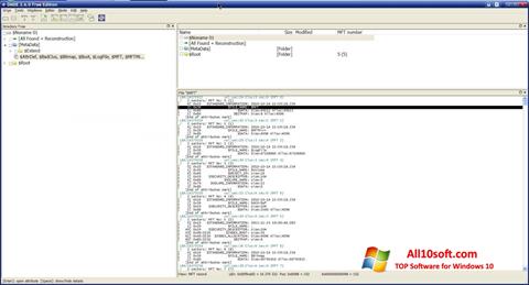 Screenshot DMDE para Windows 10
