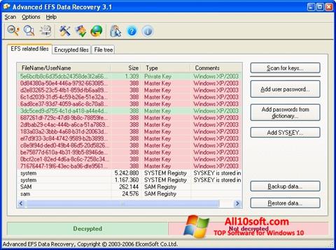 Screenshot Advanced EFS Data Recovery para Windows 10